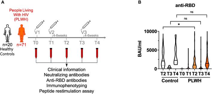 https://cdn.ncbi.nlm.nih.gov/pmc/blobs/f7c0/9755486/c08c7c4bedcd/fimmu-13-1049070-g001.jpg