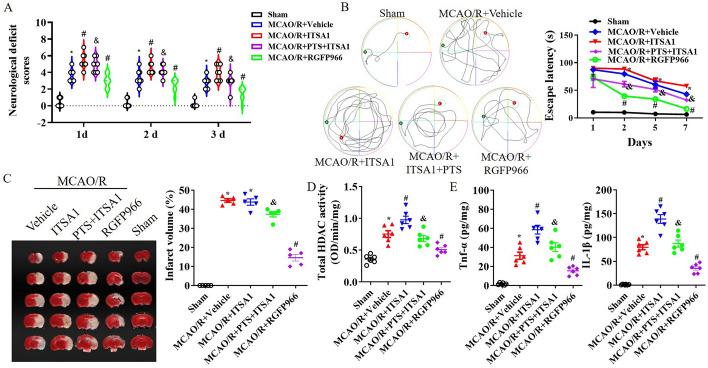 https://cdn.ncbi.nlm.nih.gov/pmc/blobs/f7c3/11360871/2991720e1ca6/11658_2024_634_Fig5_HTML.jpg