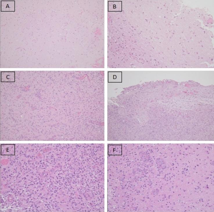 https://cdn.ncbi.nlm.nih.gov/pmc/blobs/f7c5/9992251/16e900a0c959/11060_2022_4232_Fig4_HTML.jpg
