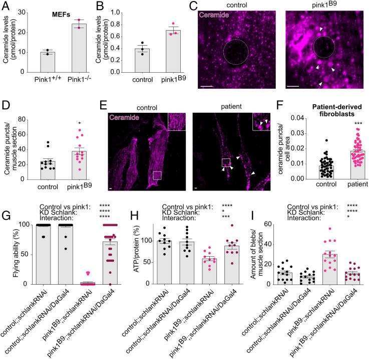 https://cdn.ncbi.nlm.nih.gov/pmc/blobs/f7c7/8639384/5cca5ac1d7f8/pnas.202025347fig01.jpg