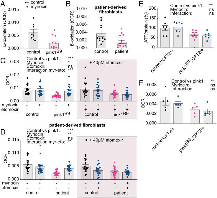 https://cdn.ncbi.nlm.nih.gov/pmc/blobs/f7c7/8639384/b363ae78d2f4/pnas.202025347fig03.jpg