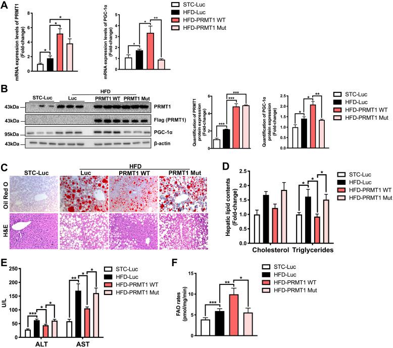 https://cdn.ncbi.nlm.nih.gov/pmc/blobs/f7c8/8965489/63d82c52e04a/thnov12p2502g004.jpg