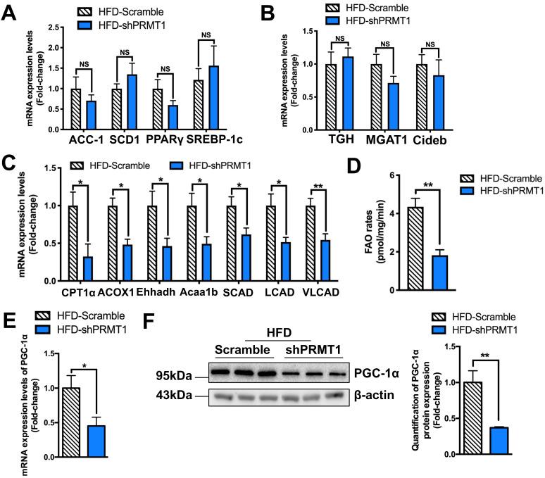 https://cdn.ncbi.nlm.nih.gov/pmc/blobs/f7c8/8965489/d45e746ef2cd/thnov12p2502g003.jpg