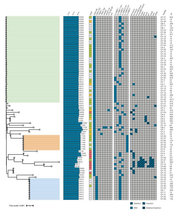 https://cdn.ncbi.nlm.nih.gov/pmc/blobs/f7c9/11010590/056d3a837760/2300528-f5.jpg