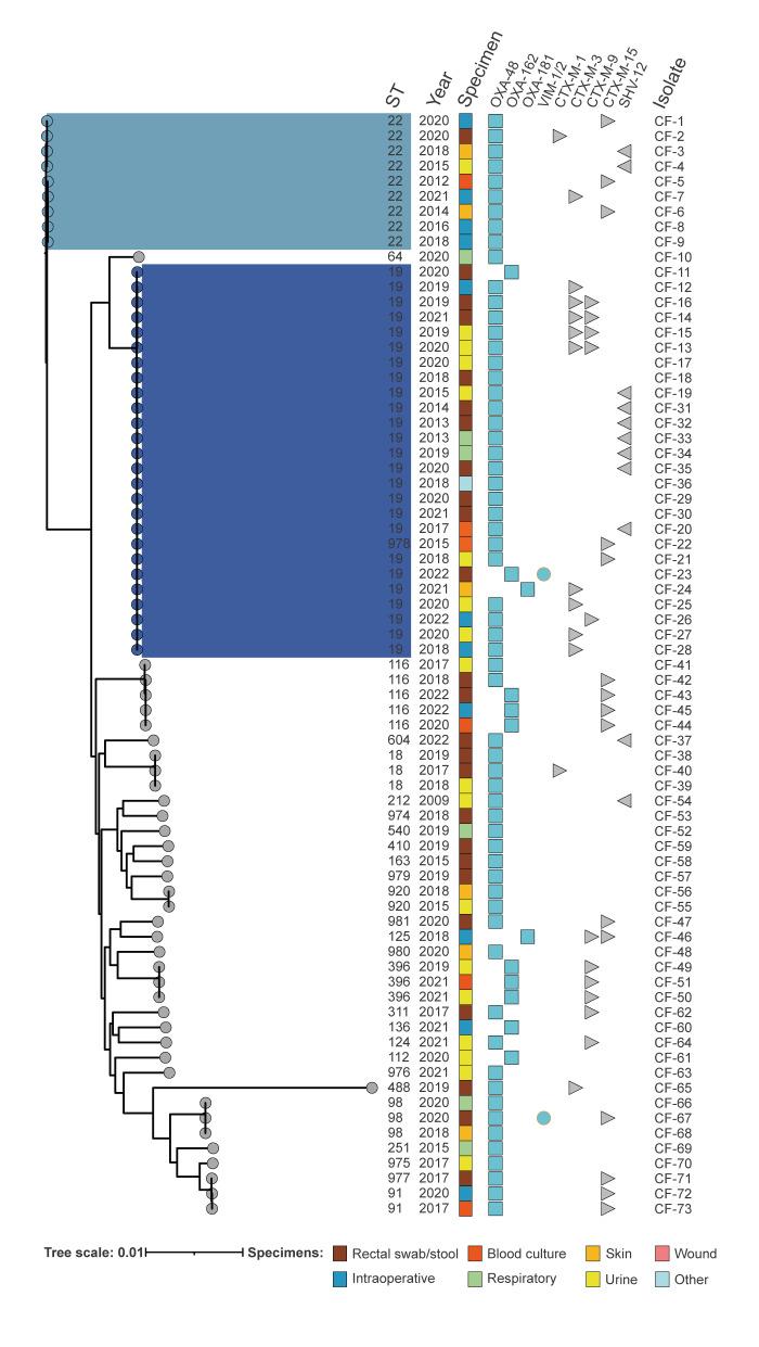 https://cdn.ncbi.nlm.nih.gov/pmc/blobs/f7c9/11010590/576d8ffe4c91/2300528-f4.jpg