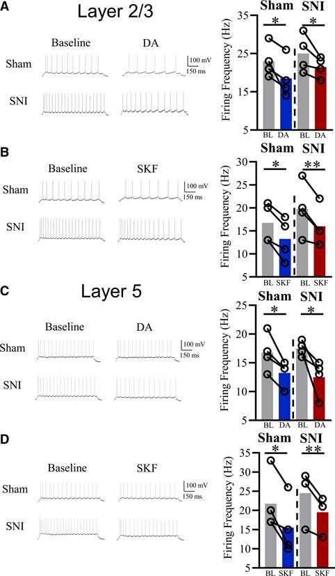 https://cdn.ncbi.nlm.nih.gov/pmc/blobs/f7ca/8728690/034983049a73/nihms-1760953-f0006.jpg