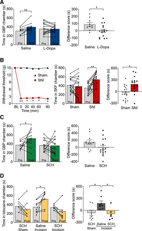 https://cdn.ncbi.nlm.nih.gov/pmc/blobs/f7ca/8728690/316995d537f0/nihms-1760953-f0008.jpg