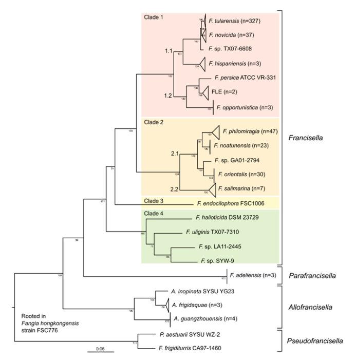 https://cdn.ncbi.nlm.nih.gov/pmc/blobs/f7cd/7826819/7708bc7220ec/microorganisms-09-00146-g001.jpg