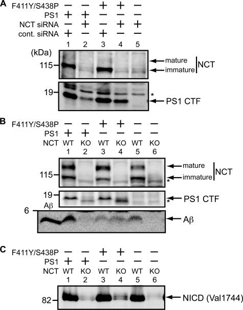 https://cdn.ncbi.nlm.nih.gov/pmc/blobs/f7d4/2676034/b23acac949e7/zbc0220974460005.jpg