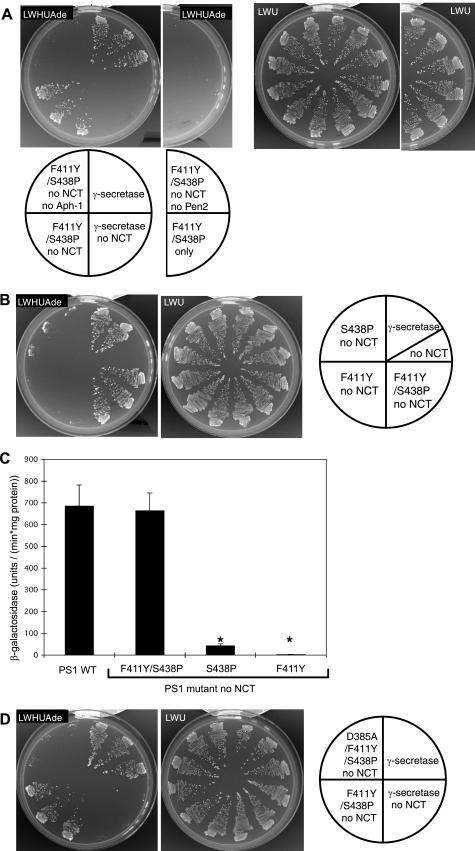 https://cdn.ncbi.nlm.nih.gov/pmc/blobs/f7d4/2676034/fc67ff4eea05/zbc0220974460002.jpg