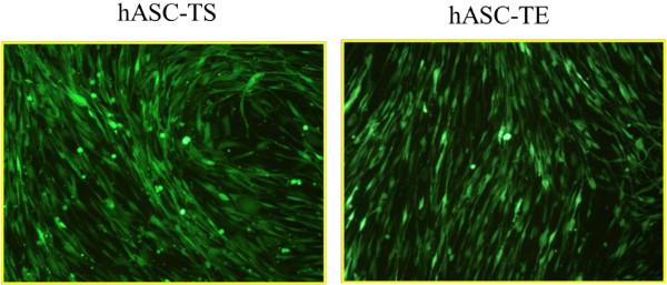 https://cdn.ncbi.nlm.nih.gov/pmc/blobs/f7d4/4055112/3827ec270b19/scrt452-9.jpg