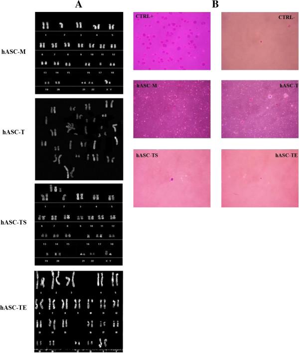 https://cdn.ncbi.nlm.nih.gov/pmc/blobs/f7d4/4055112/958d4c28108b/scrt452-8.jpg
