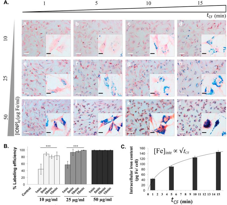 https://cdn.ncbi.nlm.nih.gov/pmc/blobs/f7d4/4609925/9b9e1ec14f4d/srep15160-f4.jpg