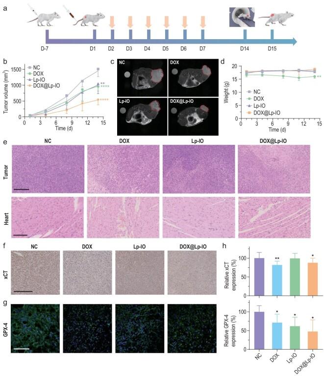 https://cdn.ncbi.nlm.nih.gov/pmc/blobs/f7d8/9843134/18e6358b6128/nwac167fig5.jpg