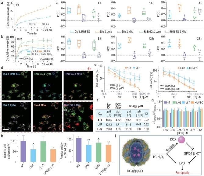 https://cdn.ncbi.nlm.nih.gov/pmc/blobs/f7d8/9843134/424ab97f5ccc/nwac167fig4.jpg
