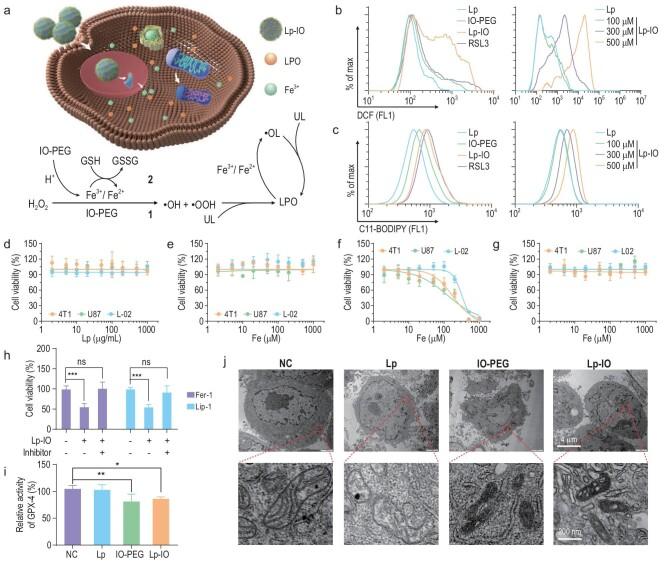 https://cdn.ncbi.nlm.nih.gov/pmc/blobs/f7d8/9843134/6e8a6e5f5351/nwac167fig2.jpg