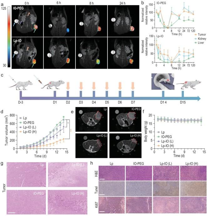 https://cdn.ncbi.nlm.nih.gov/pmc/blobs/f7d8/9843134/e65fe025f221/nwac167fig3.jpg