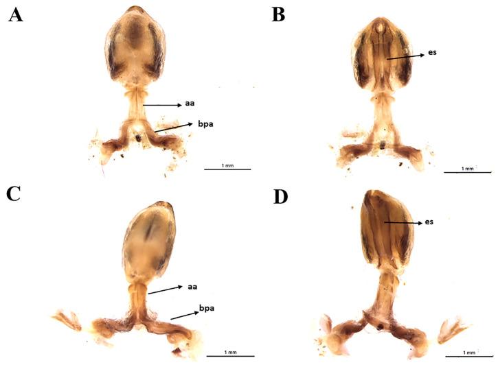 https://cdn.ncbi.nlm.nih.gov/pmc/blobs/f7d9/7759825/802f06797264/insects-11-00830-g008.jpg