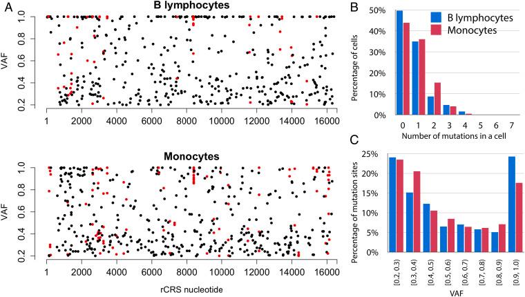 https://cdn.ncbi.nlm.nih.gov/pmc/blobs/f7d9/9910596/f104c44da7e1/pnas.2201518120fig02.jpg