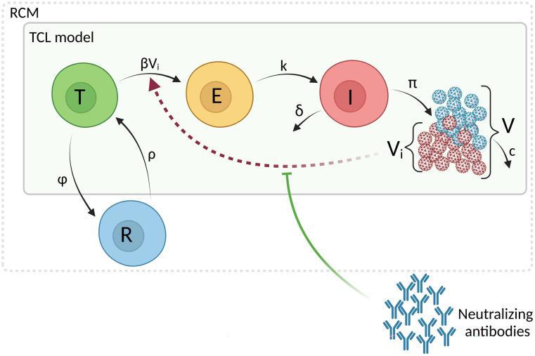 https://cdn.ncbi.nlm.nih.gov/pmc/blobs/f7da/11573497/445989a50d7d/pnas.2406303121fig02.jpg