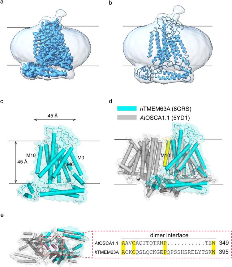 https://cdn.ncbi.nlm.nih.gov/pmc/blobs/f7db/10319725/d9b5819ec36d/41467_2023_39688_Fig1_HTML.jpg