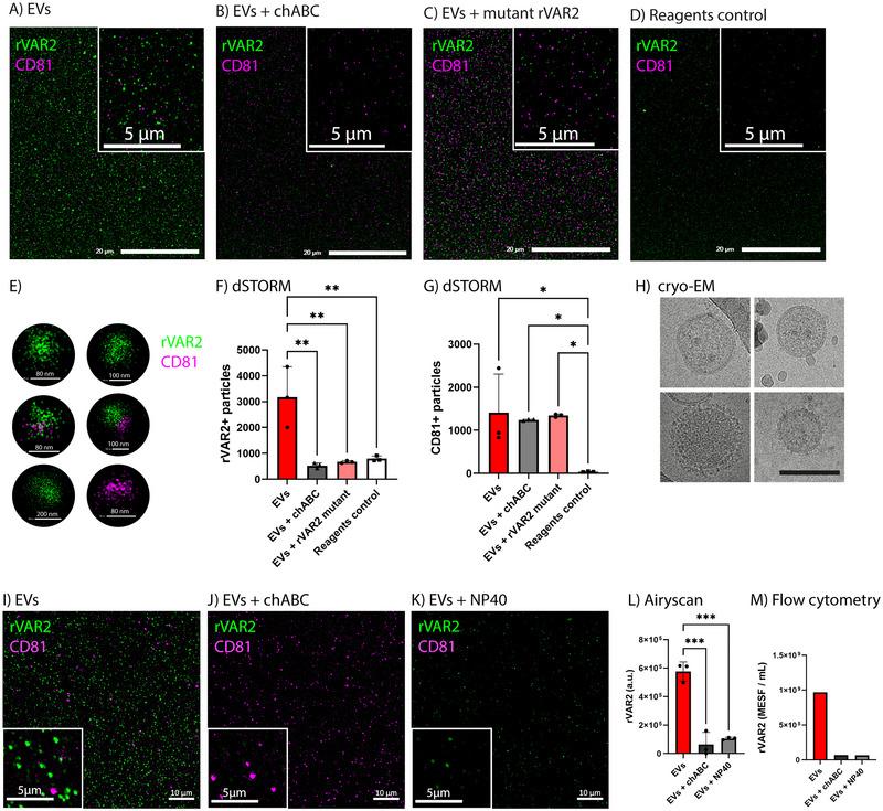 https://cdn.ncbi.nlm.nih.gov/pmc/blobs/f7db/12173530/d7365855bc90/JEV2-14-e70106-g001.jpg