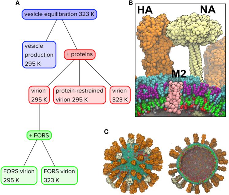 https://cdn.ncbi.nlm.nih.gov/pmc/blobs/f7db/4353694/8c07d5616dae/gr1.jpg