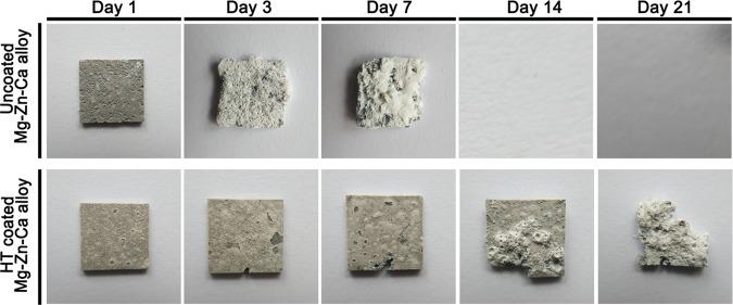 https://cdn.ncbi.nlm.nih.gov/pmc/blobs/f7db/7066561/730e8a3b70ee/ao9b03889_0006.jpg