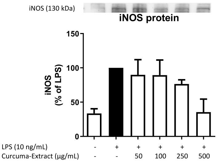 https://cdn.ncbi.nlm.nih.gov/pmc/blobs/f7dc/8840760/bced8b239acf/molecules-27-00784-g003.jpg
