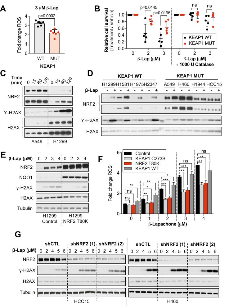 https://cdn.ncbi.nlm.nih.gov/pmc/blobs/f7de/6997906/63a283cc4c00/gr2.jpg