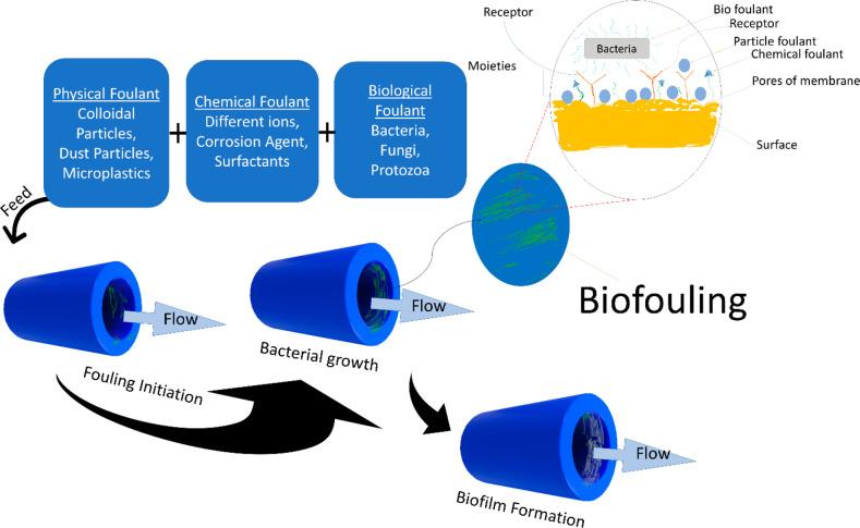 https://cdn.ncbi.nlm.nih.gov/pmc/blobs/f7de/9893455/5caebb856a61/ao2c05983_0005.jpg