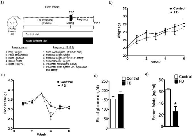 https://cdn.ncbi.nlm.nih.gov/pmc/blobs/f7df/5479823/d8904d6528a7/41598_2017_3888_Fig1_HTML.jpg