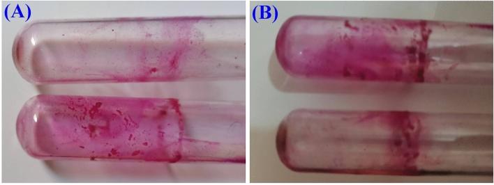 https://cdn.ncbi.nlm.nih.gov/pmc/blobs/f7df/8105381/ff3845551983/41598_2021_87901_Fig11_HTML.jpg