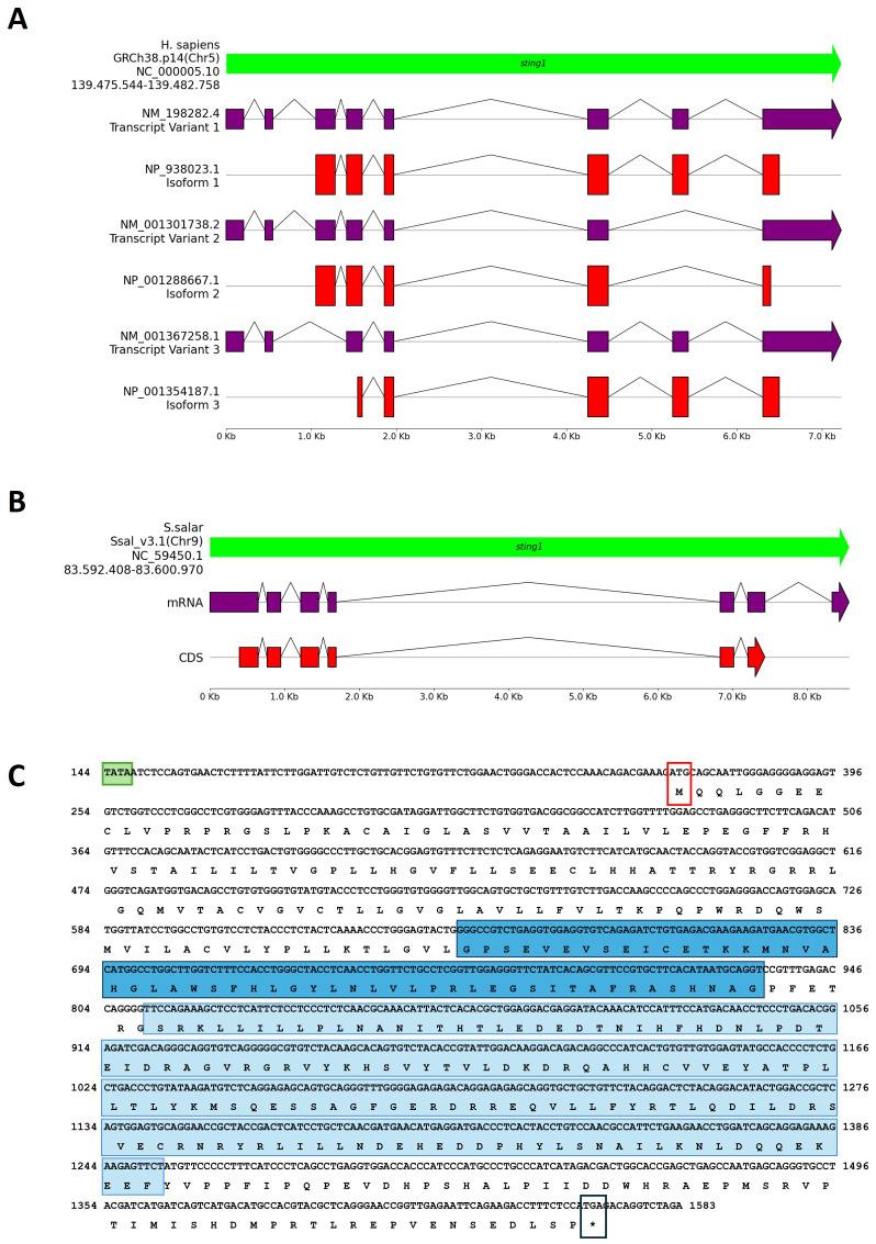 https://cdn.ncbi.nlm.nih.gov/pmc/blobs/f7e0/12213456/728b2fd81647/fimmu-16-1570871-g001.jpg