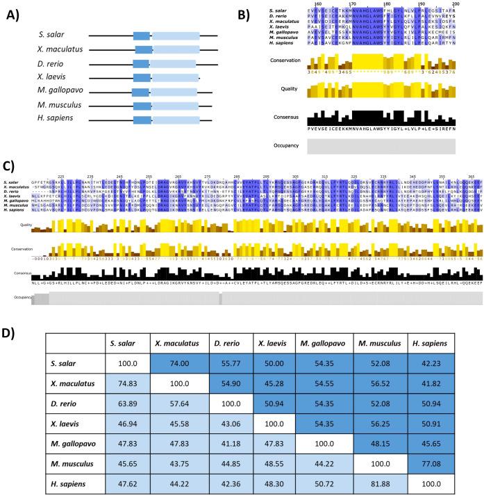 https://cdn.ncbi.nlm.nih.gov/pmc/blobs/f7e0/12213456/a52d48ec3fb6/fimmu-16-1570871-g003.jpg