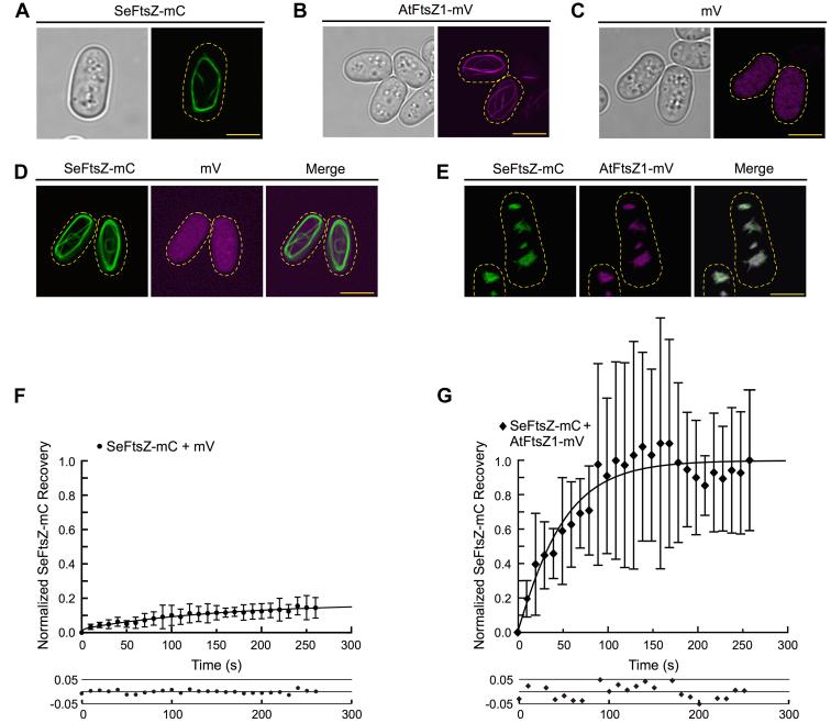 https://cdn.ncbi.nlm.nih.gov/pmc/blobs/f7e0/9975276/ffca92cc7546/gr5.jpg