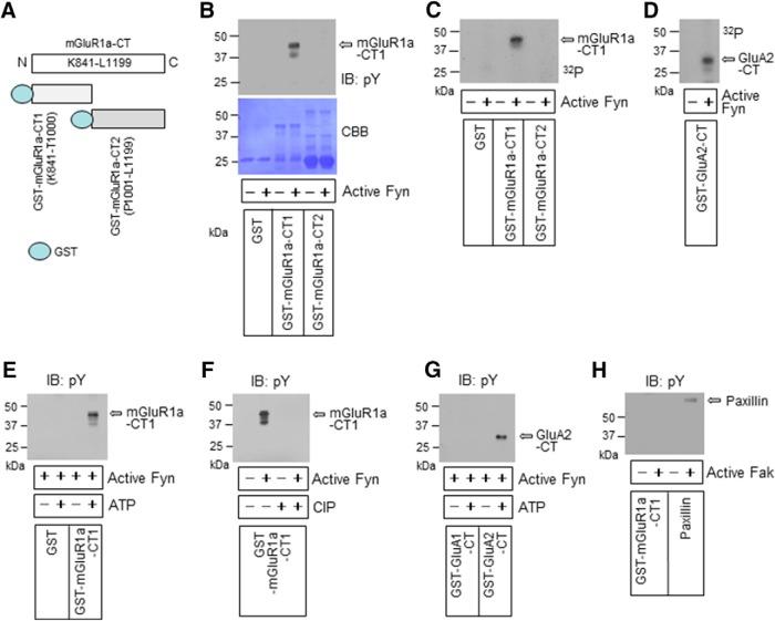 https://cdn.ncbi.nlm.nih.gov/pmc/blobs/f7e1/5608834/08b12b66bcf5/enu0041723920001.jpg