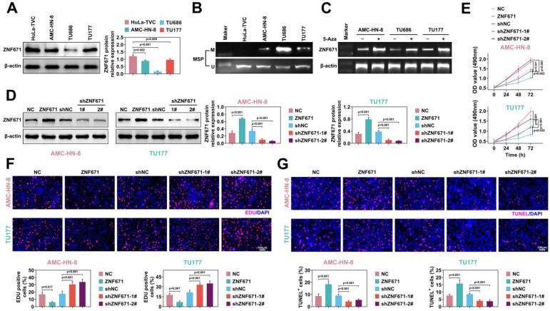 https://cdn.ncbi.nlm.nih.gov/pmc/blobs/f7e5/10197888/ca9830cd1b38/ijbsv19p2443g003.jpg