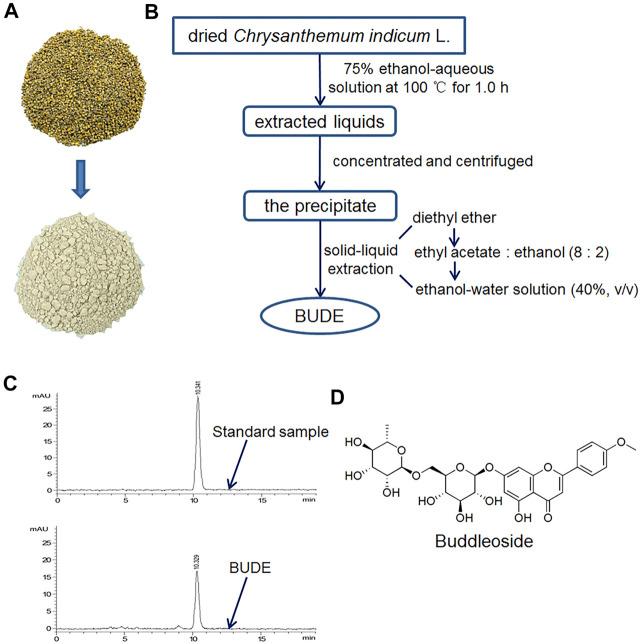 https://cdn.ncbi.nlm.nih.gov/pmc/blobs/f7e5/8532163/17ab2875a4ec/fphar-12-755140-g001.jpg