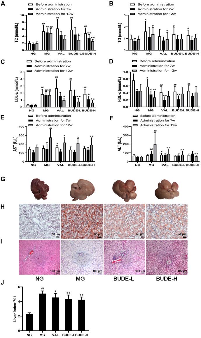 https://cdn.ncbi.nlm.nih.gov/pmc/blobs/f7e5/8532163/372d39be43e6/fphar-12-755140-g003.jpg