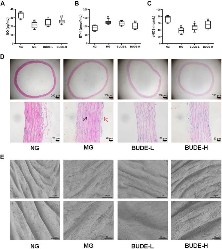 https://cdn.ncbi.nlm.nih.gov/pmc/blobs/f7e5/8532163/48bde19d7709/fphar-12-755140-g004.jpg