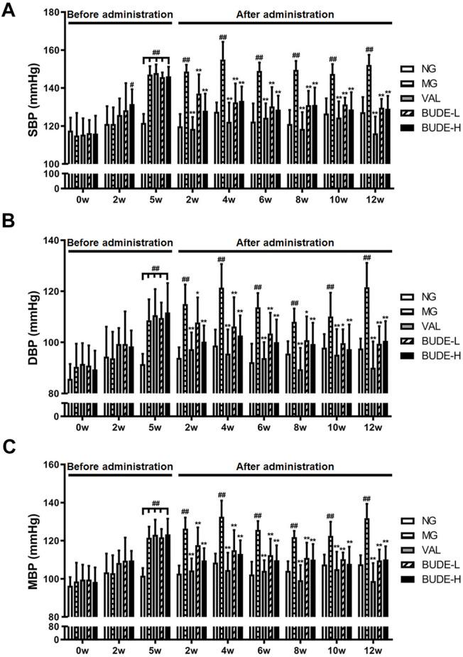 https://cdn.ncbi.nlm.nih.gov/pmc/blobs/f7e5/8532163/c3178472af47/fphar-12-755140-g002.jpg