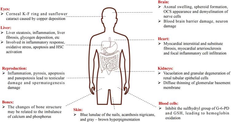 https://cdn.ncbi.nlm.nih.gov/pmc/blobs/f7e8/11971973/4412928b6d45/DDDT-19-2453-g0002.jpg