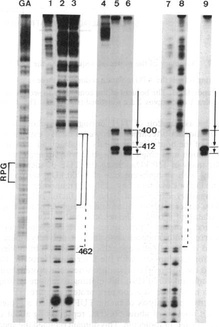 https://cdn.ncbi.nlm.nih.gov/pmc/blobs/f7e8/304932/0d255e39f2d4/pnas00276-0122-a.jpg