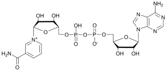https://cdn.ncbi.nlm.nih.gov/pmc/blobs/f7e8/6982223/9cac1353e609/ijms-21-00214-g001.jpg