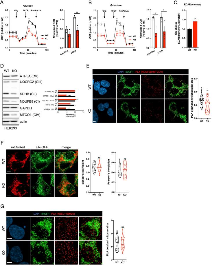 https://cdn.ncbi.nlm.nih.gov/pmc/blobs/f7e8/9170783/e0224a294441/figs5.jpg