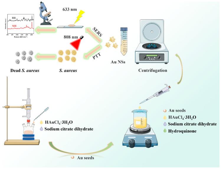 https://cdn.ncbi.nlm.nih.gov/pmc/blobs/f7ea/9738658/f1d809b12726/nanomaterials-12-04232-sch001.jpg