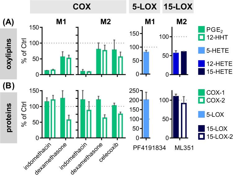 https://cdn.ncbi.nlm.nih.gov/pmc/blobs/f7ea/9883352/49c0c090aa0c/216_2022_4489_Fig4_HTML.jpg