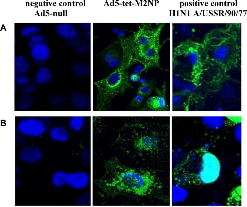 https://cdn.ncbi.nlm.nih.gov/pmc/blobs/f7eb/5788337/5c42854a55bd/pone.0191574.g004.jpg