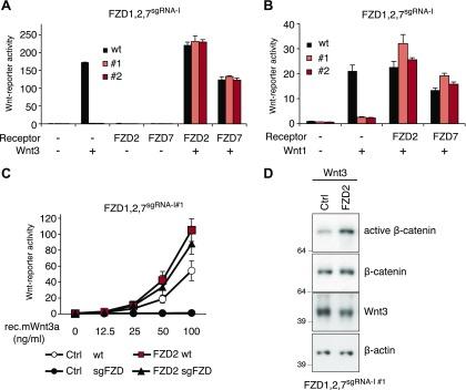 https://cdn.ncbi.nlm.nih.gov/pmc/blobs/f7ee/5636703/de5ee4a00601/fasebj201700144Rf4.jpg